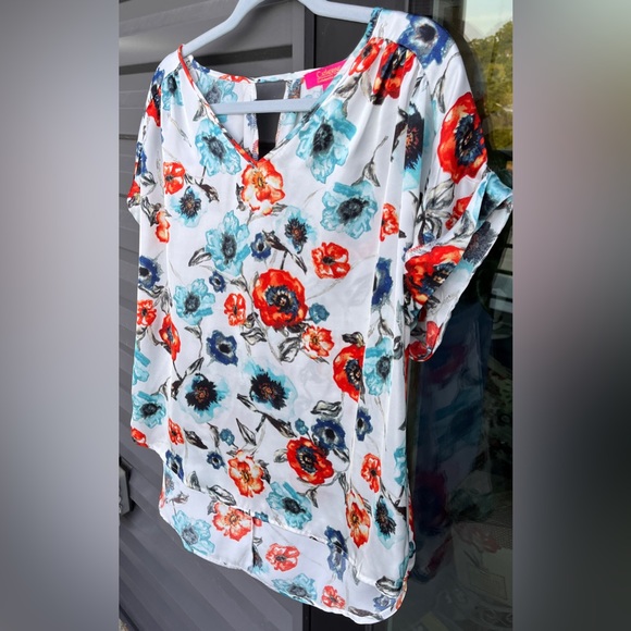 Smooth Operator!  CATHERINE MALANDRINO (EUC, Size L) V-Neck, SS Silky Print Top - Picture 3 of 7